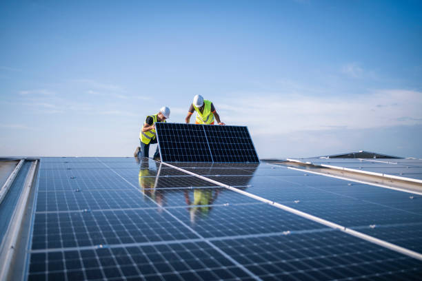 Best Roof Maintenance and Cleaning  in Belle Glade, FL