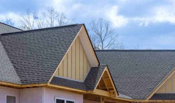 Best Sheet Metal Roofing  in Belle Glade, FL