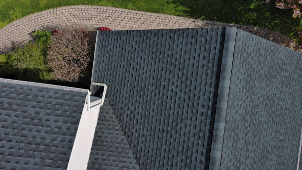 Best Roof Ventilation Installation  in Belle Glade, FL