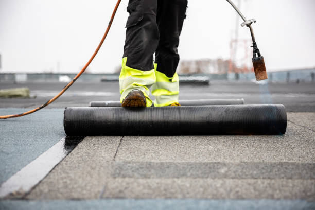 Best Solar Panel Roofing Installation  in Belle Glade, FL