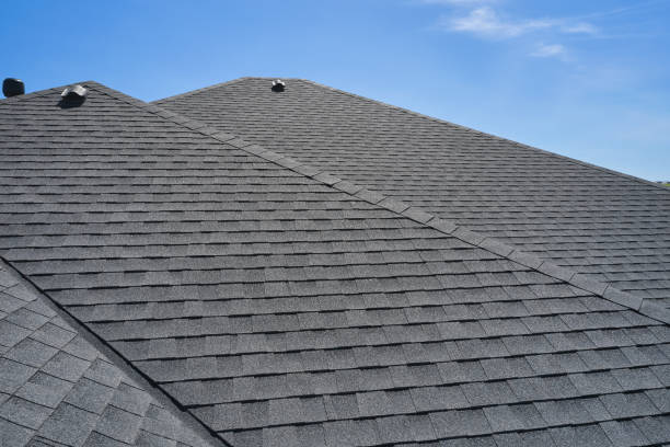 Best Roof Moss and Algae Removal  in Belle Glade, FL