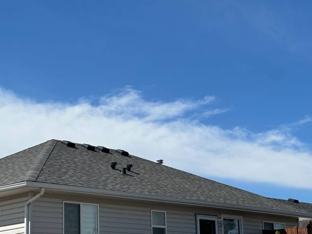 Best Skylight Installation and Repair  in Belle Glade, FL